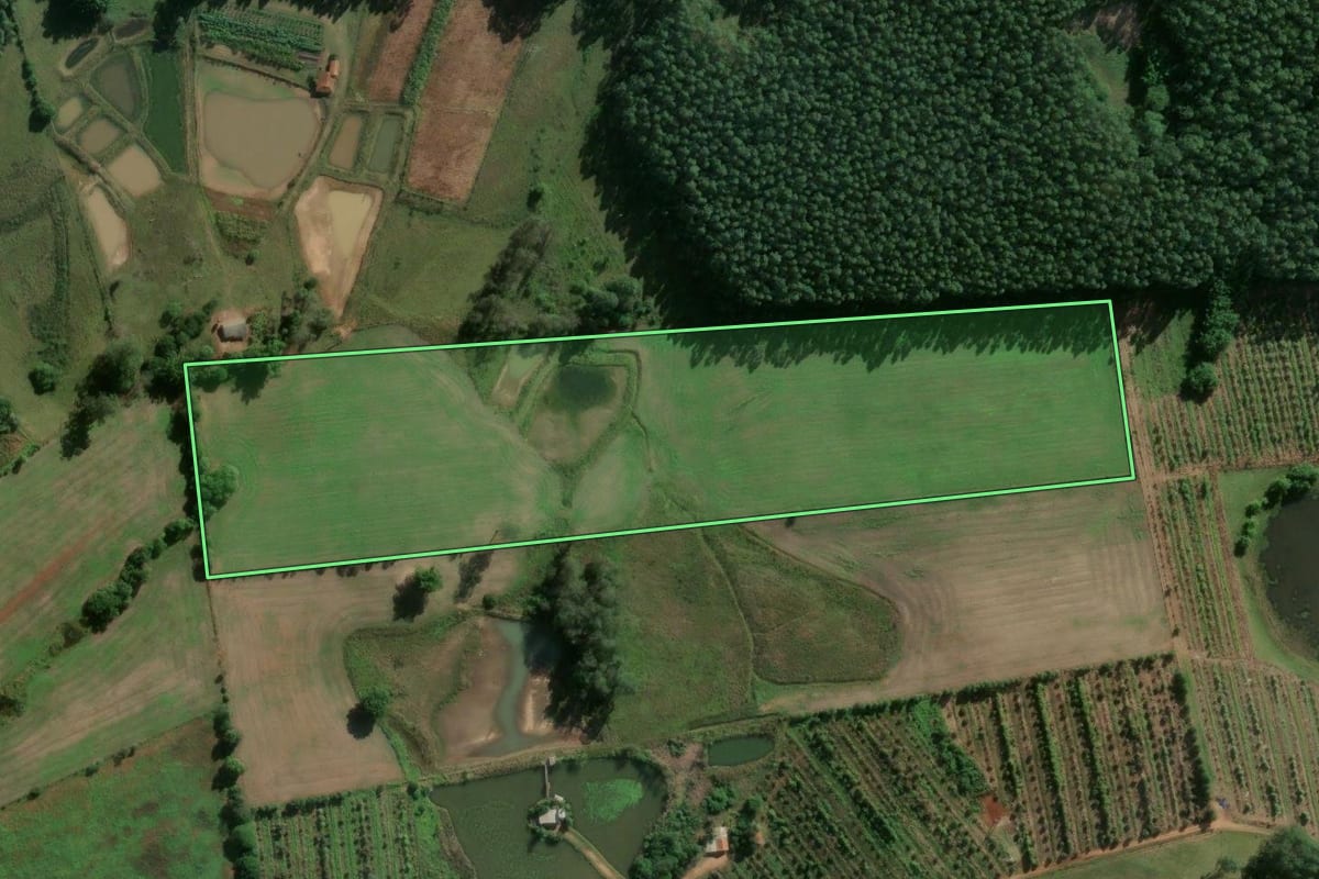 Imagem de satélite do imóvel rural em General Câmara (RS), com o contorno declarado no CAR desenhado por cima.