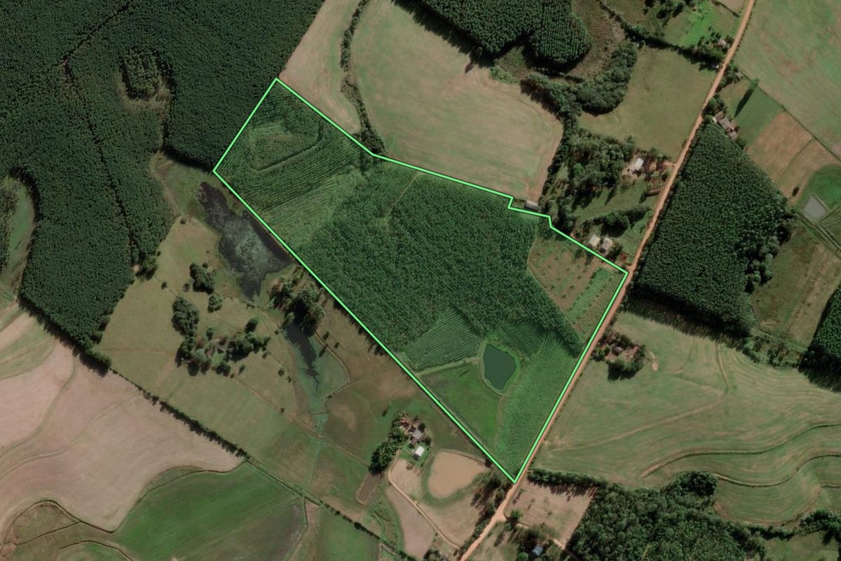 Imagem de satélite do imóvel rural em General Câmara (RS), com o contorno declarado no CAR desenhado por cima.