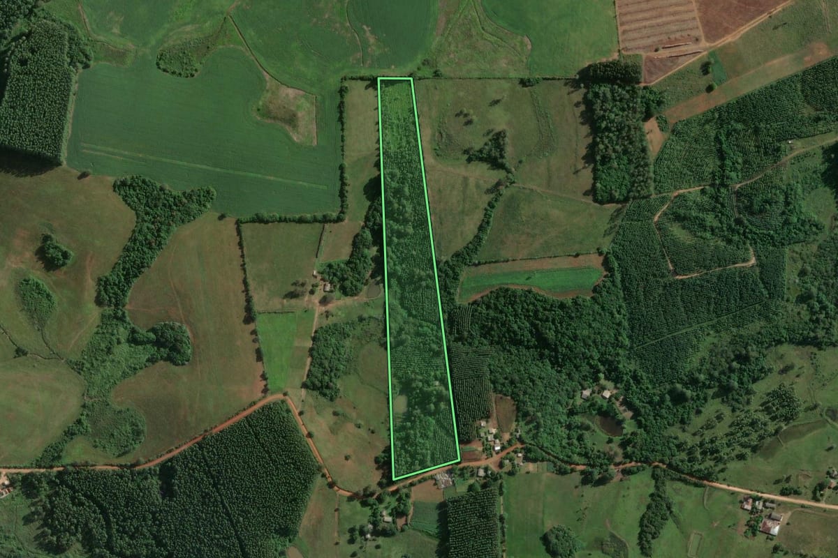 Imagem de satélite do imóvel rural em General Câmara (RS), com o contorno declarado no CAR desenhado por cima.