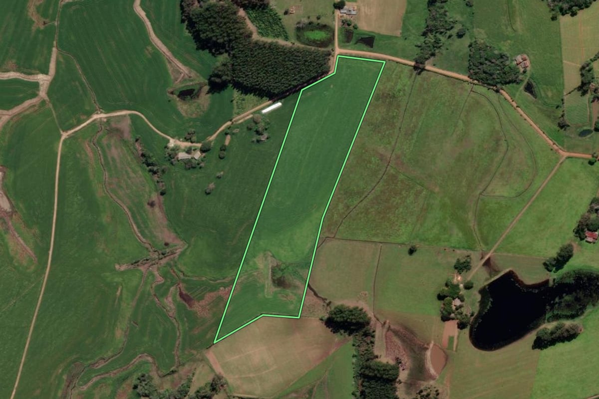 Imagem de satélite do imóvel rural em General Câmara (RS), com o contorno declarado no CAR desenhado por cima.