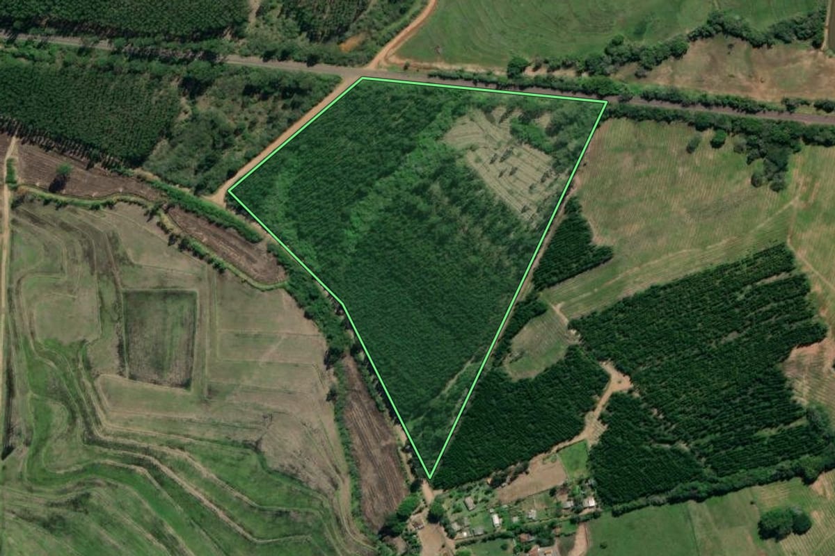 Imagem de satélite do imóvel rural em General Câmara (RS), com o contorno declarado no CAR desenhado por cima.