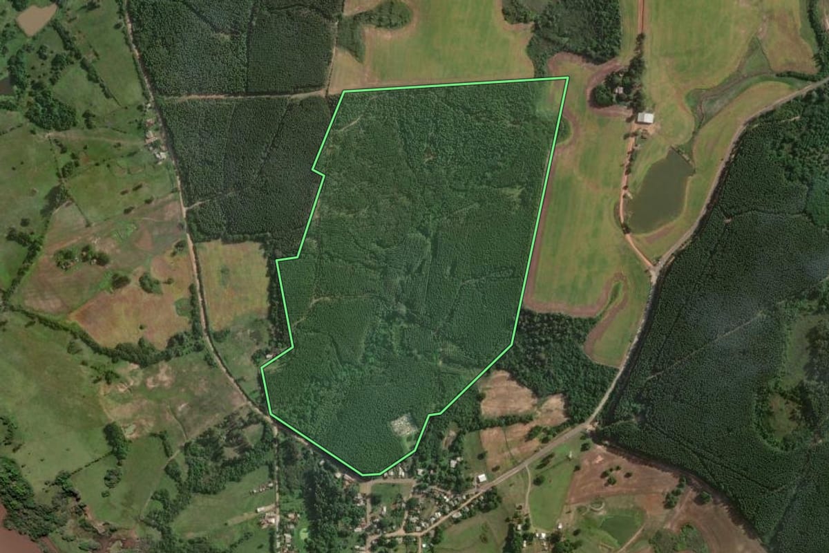 Imagem de satélite do imóvel rural em General Câmara (RS), com o contorno declarado no CAR desenhado por cima.