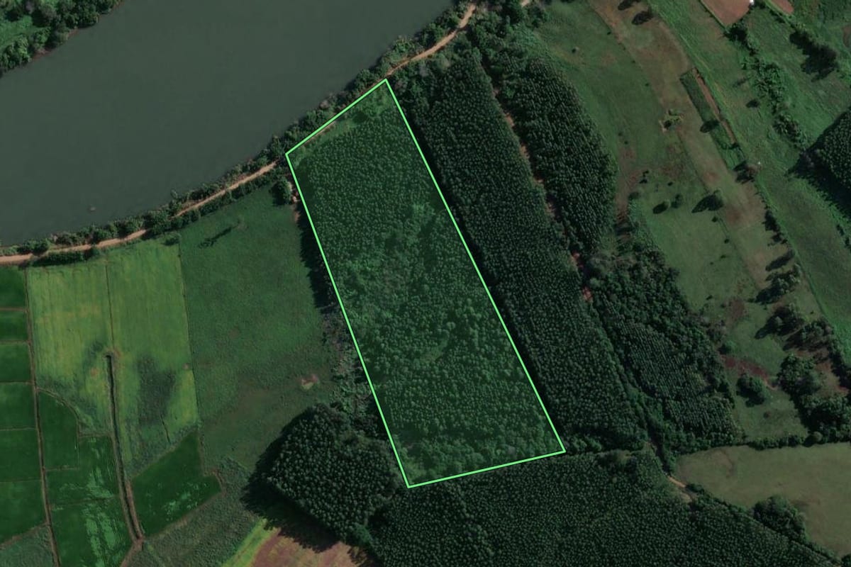Imagem de satélite do imóvel rural em General Câmara (RS), com o contorno declarado no CAR desenhado por cima.