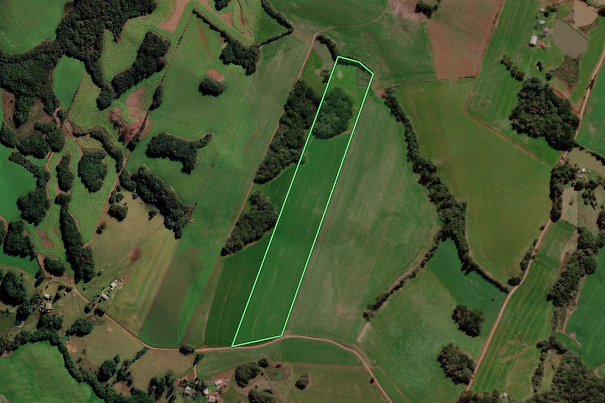 Imagem de satélite do imóvel rural em Gentil (RS), com o contorno declarado no CAR desenhado por cima.