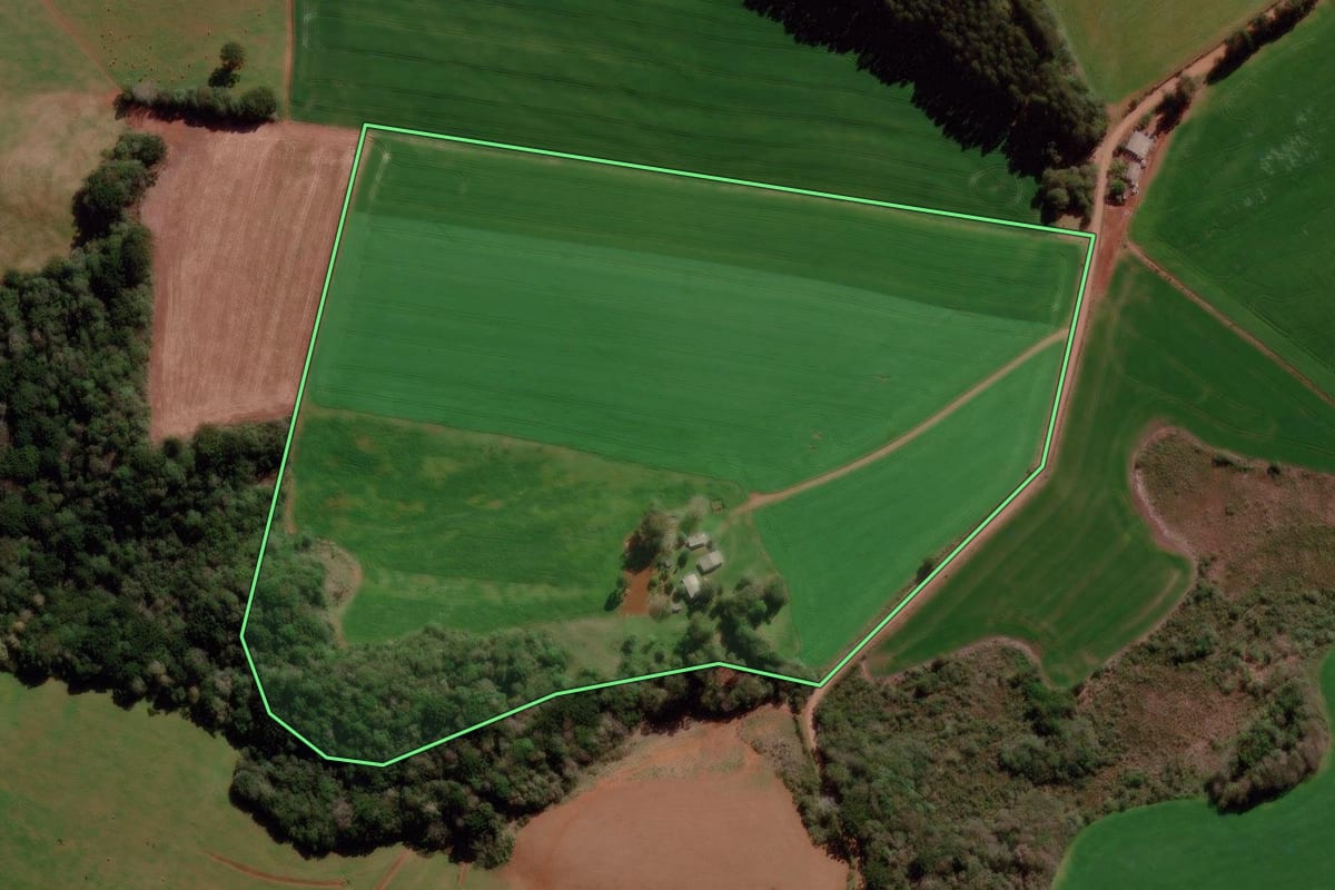Imagem de satélite do imóvel rural em Gentil (RS), com o contorno declarado no CAR desenhado por cima.