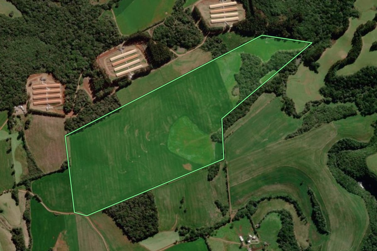 Imagem de satélite do imóvel rural em Gentil (RS), com o contorno declarado no CAR desenhado por cima.