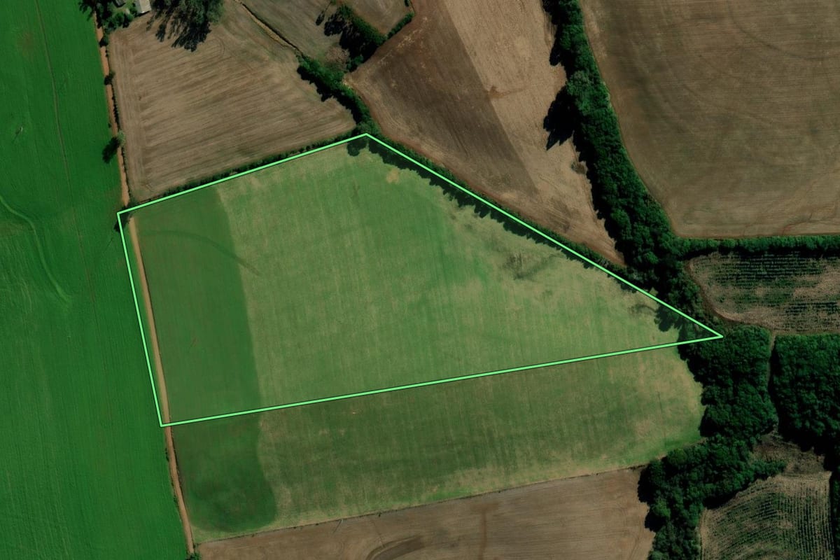 Imagem de satélite do imóvel rural em Gentil (RS), com o contorno declarado no CAR desenhado por cima.