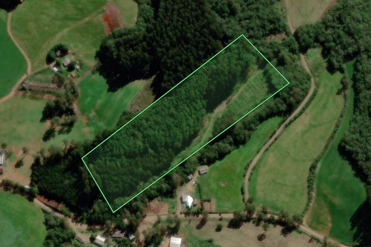 Imagem de satélite do imóvel rural em Gentil (RS), com o contorno declarado no CAR desenhado por cima.