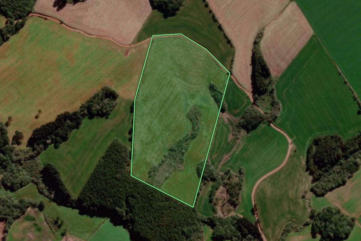 Imagem de satélite do imóvel rural em Gentil (RS), com o contorno declarado no CAR desenhado por cima.