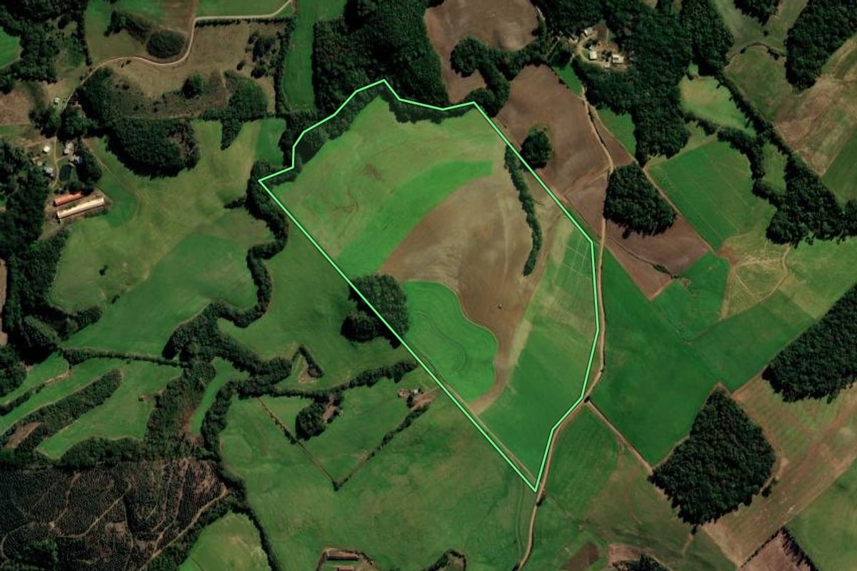 Imagem de satélite do imóvel rural em Gentil (RS), com o contorno declarado no CAR desenhado por cima.
