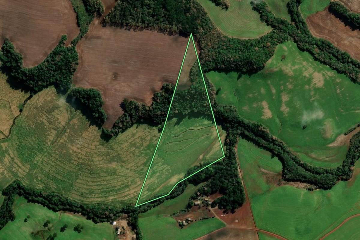 Imagem de satélite do imóvel rural em Getúlio Vargas (RS), com o contorno declarado no CAR desenhado por cima.