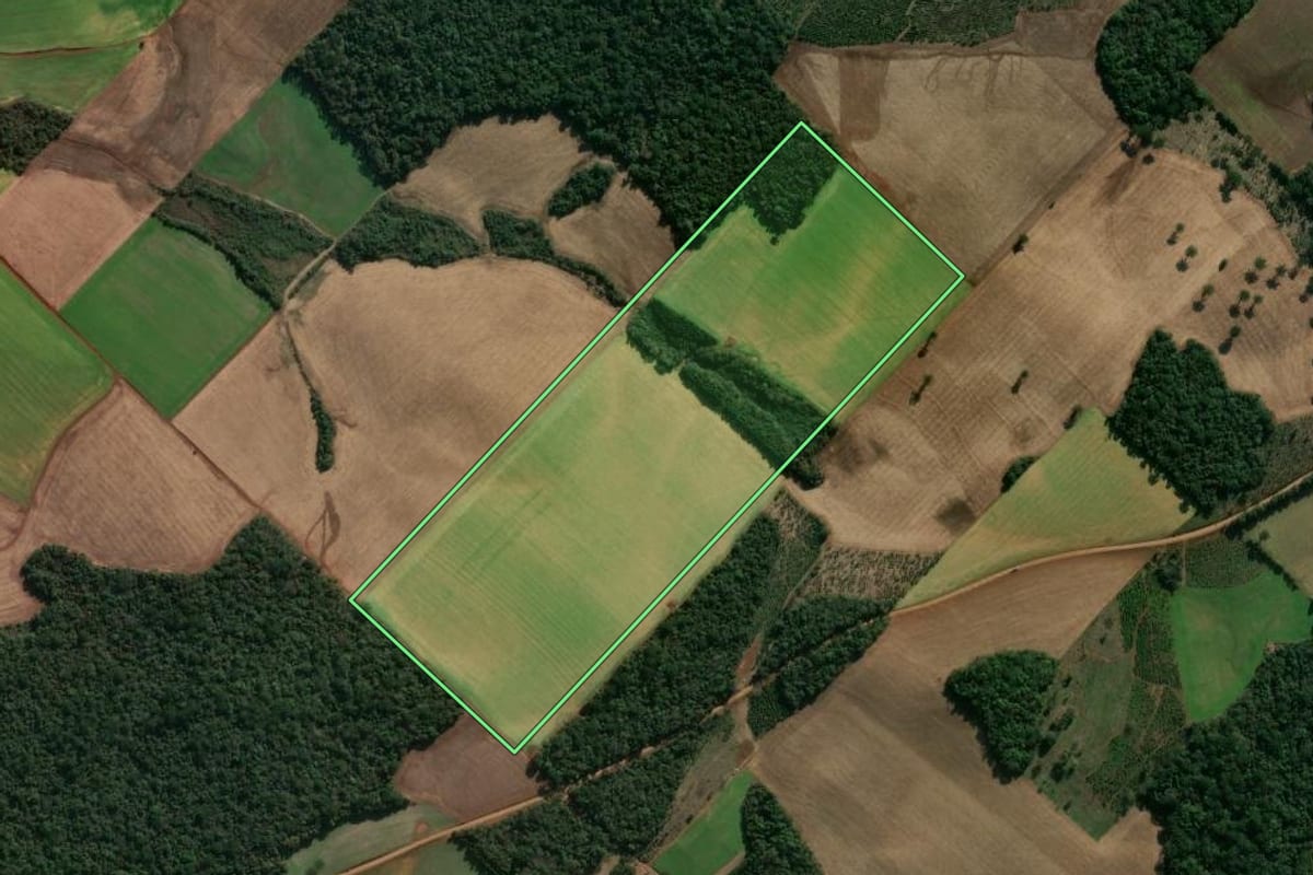 Imagem de satélite do imóvel rural em Getúlio Vargas (RS), com o contorno declarado no CAR desenhado por cima.