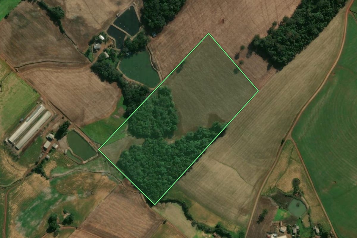 Imagem de satélite do imóvel rural em Getúlio Vargas (RS), com o contorno declarado no CAR desenhado por cima.