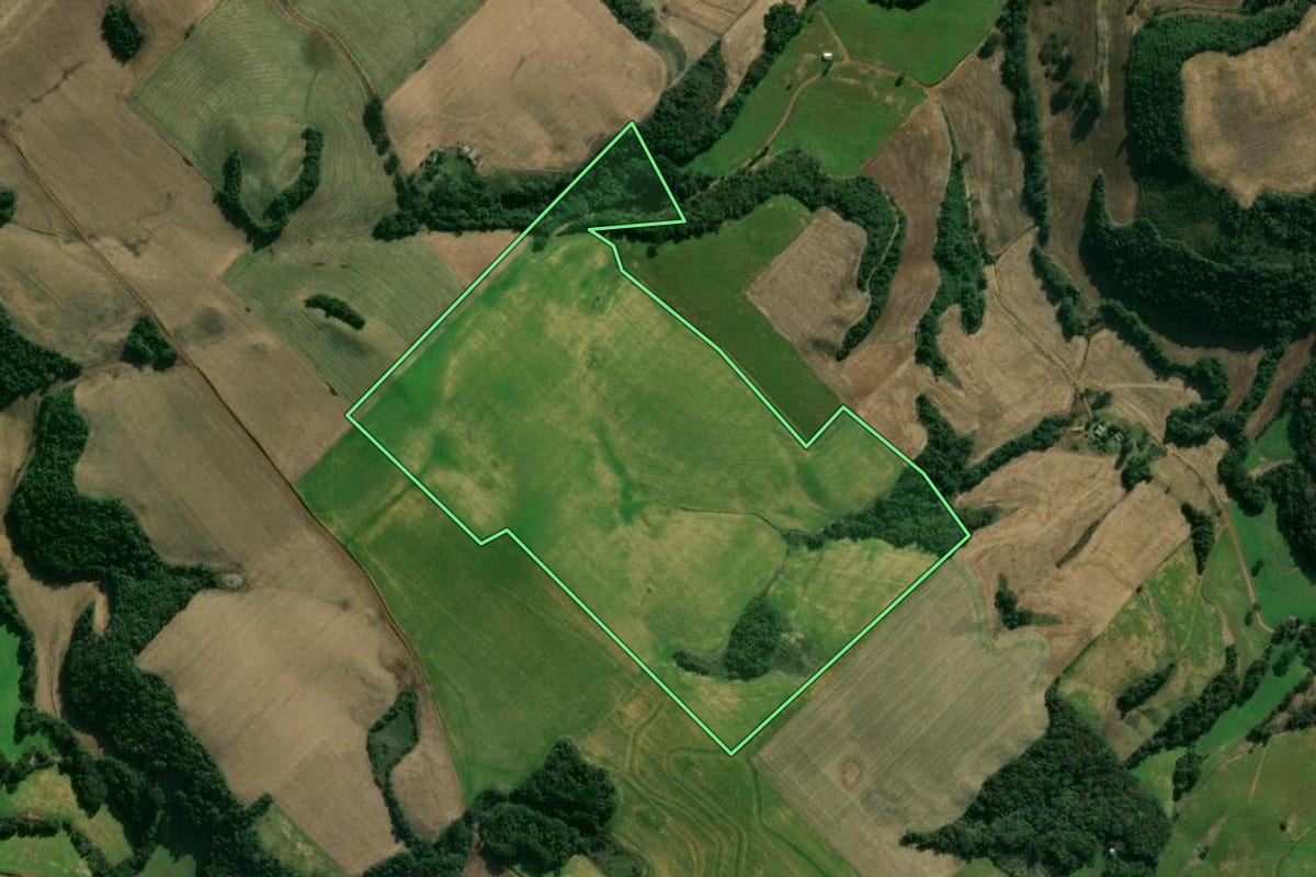 Imagem de satélite do imóvel rural em Getúlio Vargas (RS), com o contorno declarado no CAR desenhado por cima.