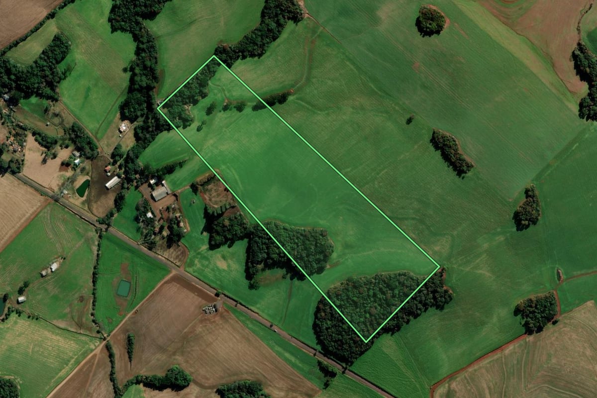 Imagem de satélite do imóvel rural em Getúlio Vargas (RS), com o contorno declarado no CAR desenhado por cima.