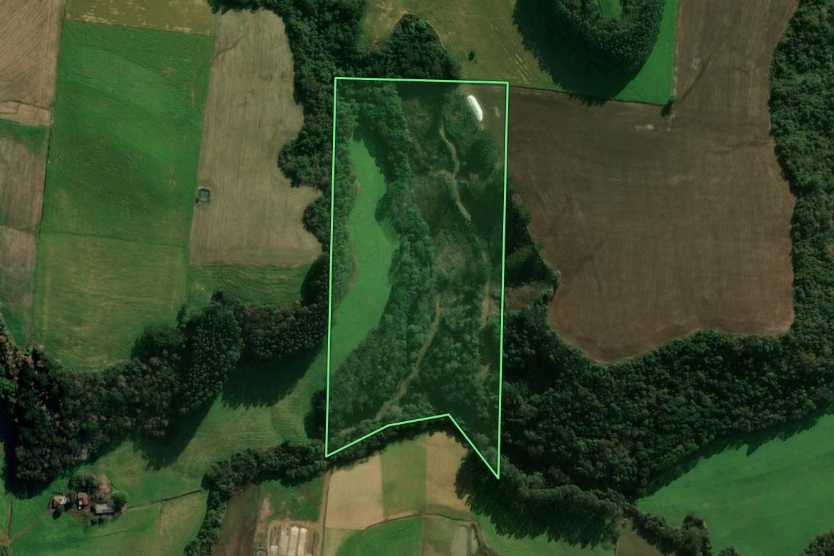 Imagem de satélite do imóvel rural em Getúlio Vargas (RS), com o contorno declarado no CAR desenhado por cima.
