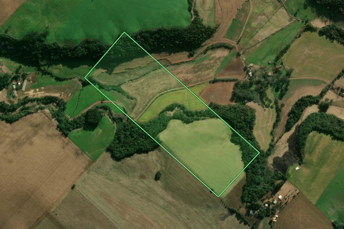 Imagem de satélite do imóvel rural em Getúlio Vargas (RS), com o contorno declarado no CAR desenhado por cima.