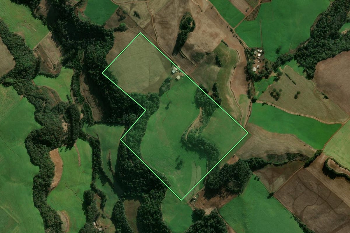 Imagem de satélite do imóvel rural em Getúlio Vargas (RS), com o contorno declarado no CAR desenhado por cima.