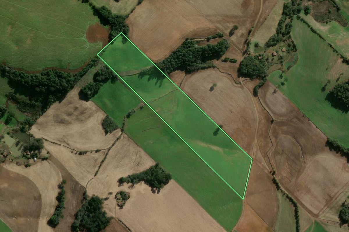 Imagem de satélite do imóvel rural em Getúlio Vargas (RS), com o contorno declarado no CAR desenhado por cima.