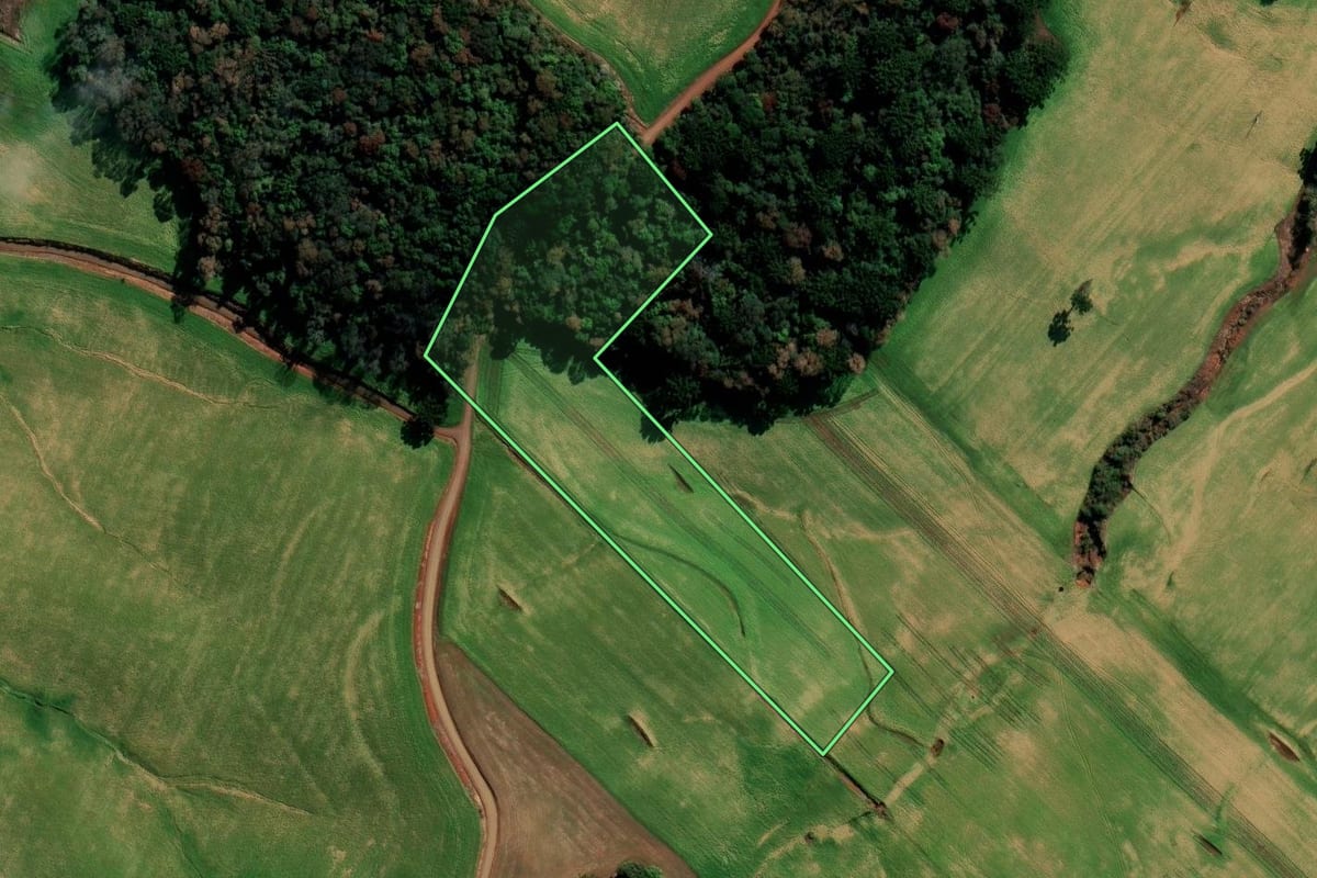 Imagem de satélite do imóvel rural em Getúlio Vargas (RS), com o contorno declarado no CAR desenhado por cima.