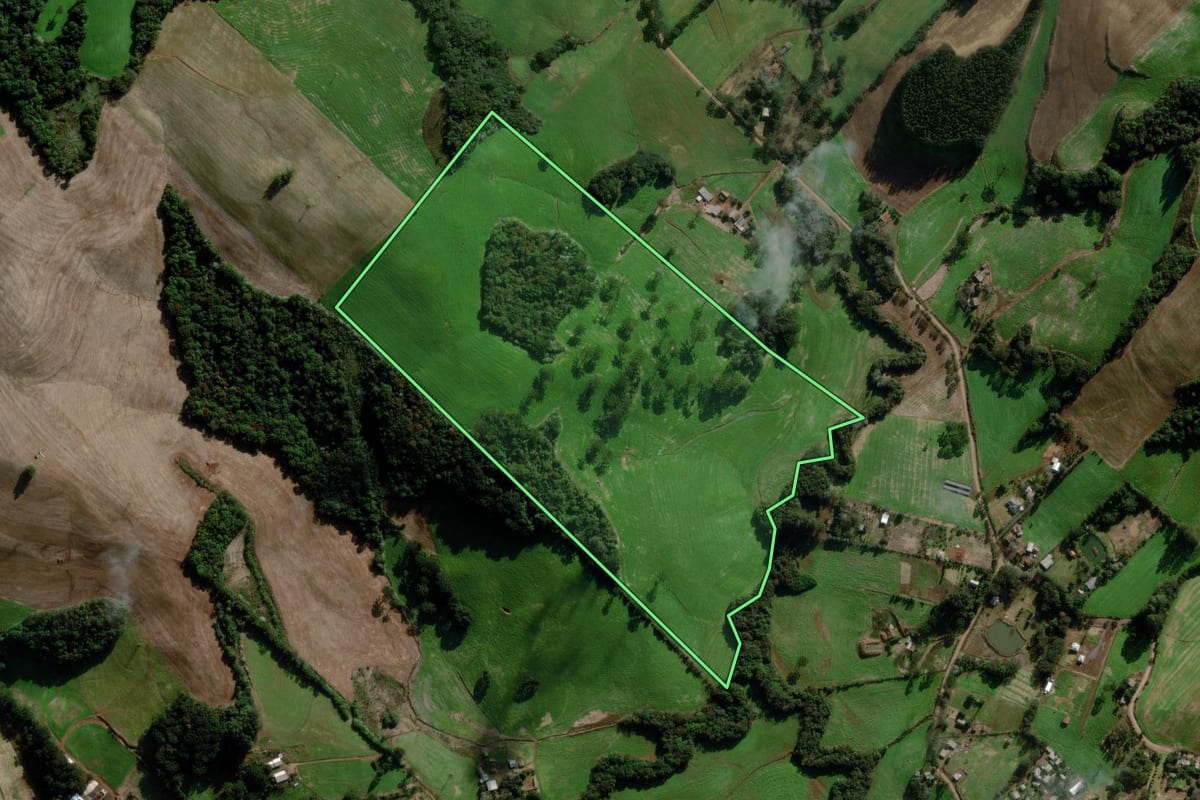 Imagem de satélite do imóvel rural em Getúlio Vargas (RS), com o contorno declarado no CAR desenhado por cima.