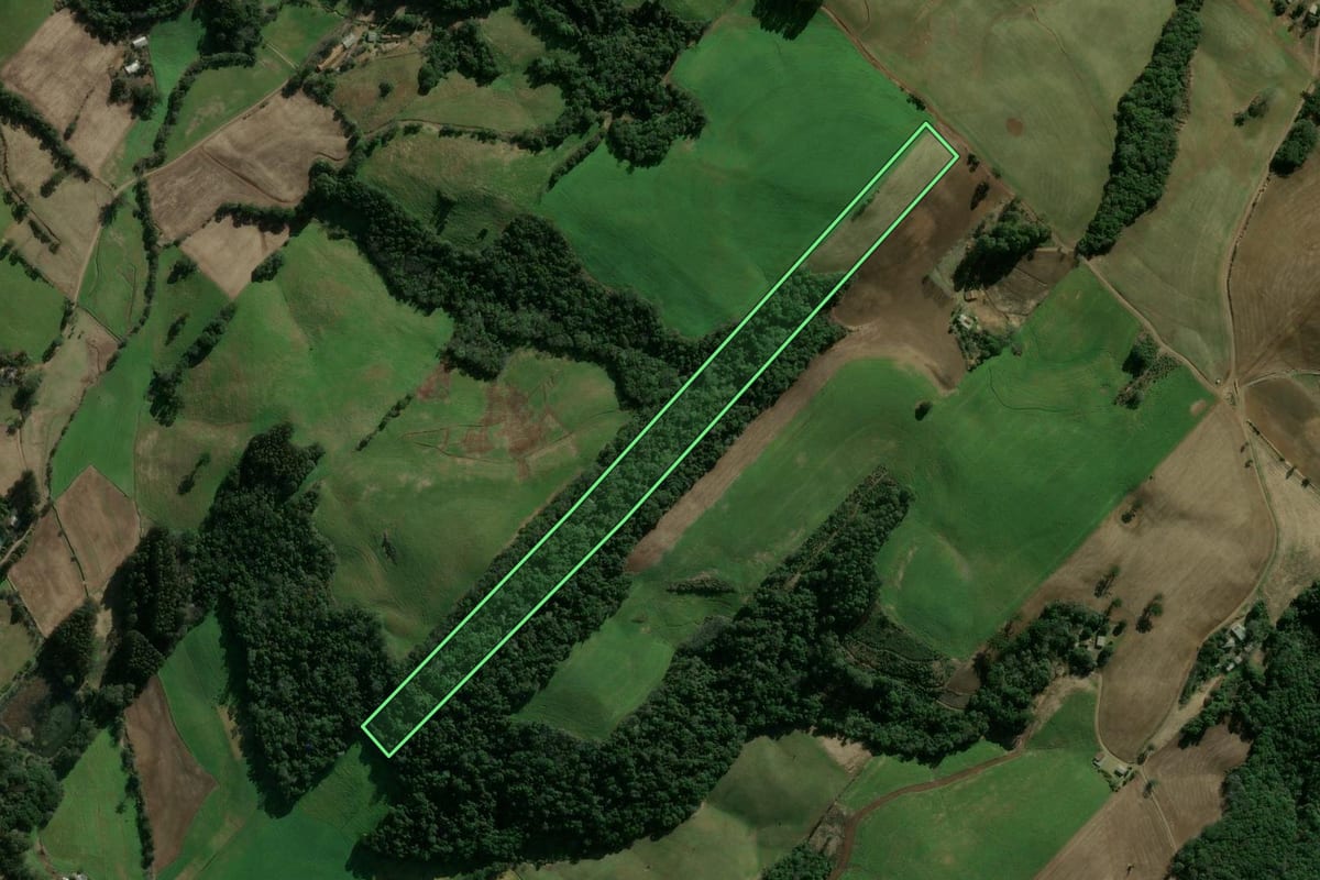 Imagem de satélite do imóvel rural em Getúlio Vargas (RS), com o contorno declarado no CAR desenhado por cima.