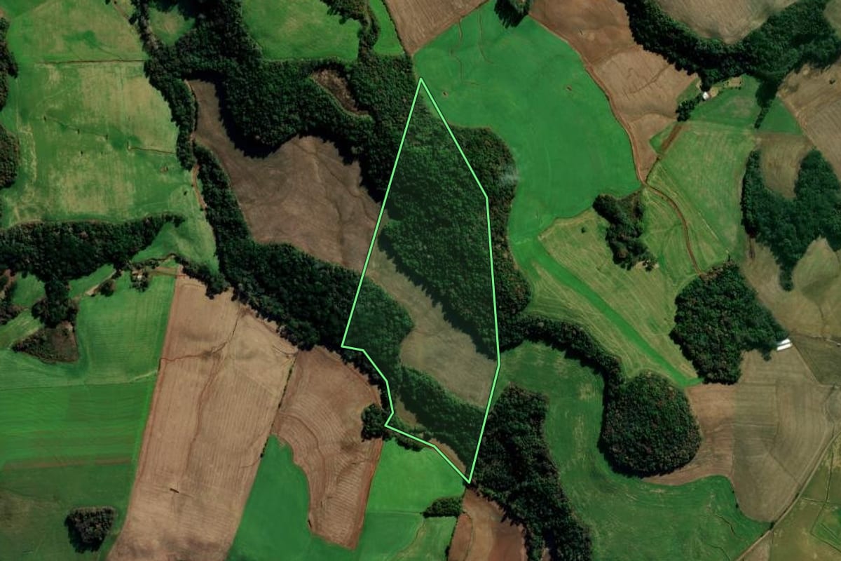 Imagem de satélite do imóvel rural em Getúlio Vargas (RS), com o contorno declarado no CAR desenhado por cima.