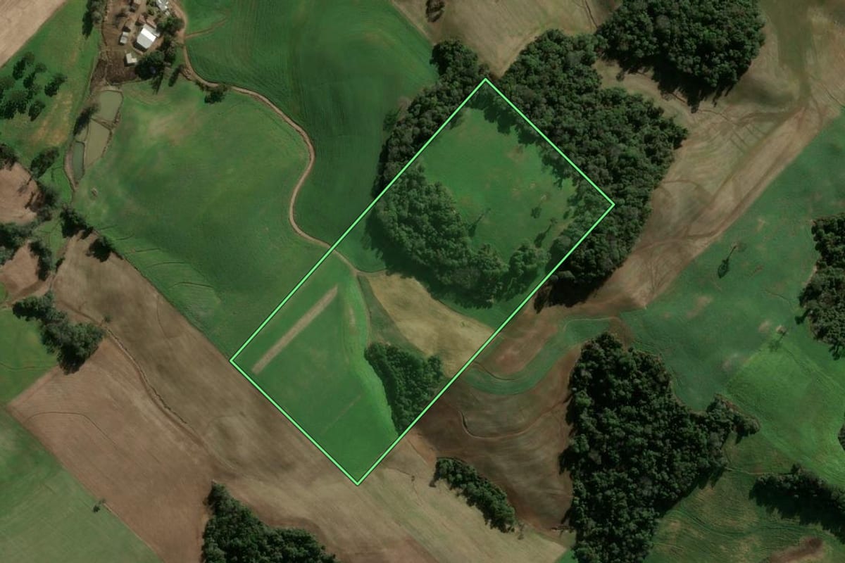 Imagem de satélite do imóvel rural em Getúlio Vargas (RS), com o contorno declarado no CAR desenhado por cima.