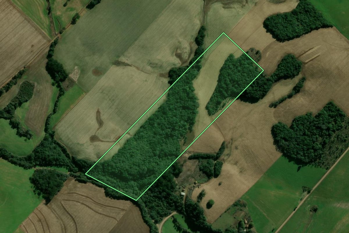Imagem de satélite do imóvel rural em Getúlio Vargas (RS), com o contorno declarado no CAR desenhado por cima.
