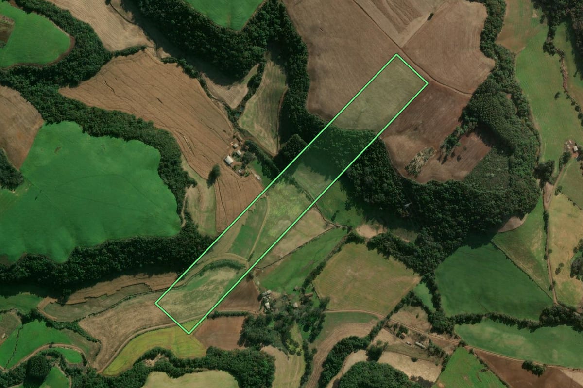 Imagem de satélite do imóvel rural em Getúlio Vargas (RS), com o contorno declarado no CAR desenhado por cima.