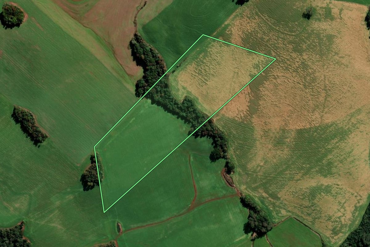 Imagem de satélite do imóvel rural em Getúlio Vargas (RS), com o contorno declarado no CAR desenhado por cima.