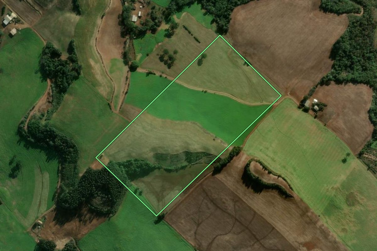 Imagem de satélite do imóvel rural em Getúlio Vargas (RS), com o contorno declarado no CAR desenhado por cima.