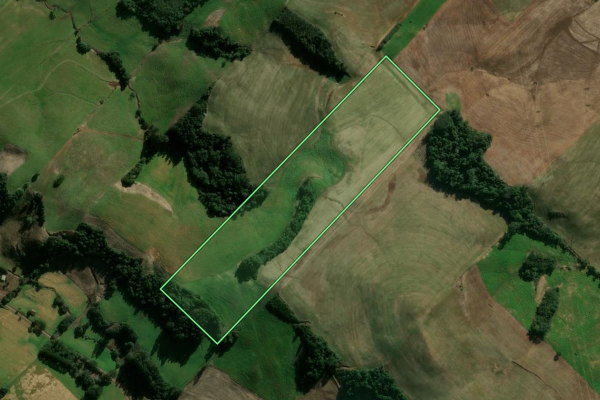 Imagem de satélite do imóvel rural em Getúlio Vargas (RS), com o contorno declarado no CAR desenhado por cima.