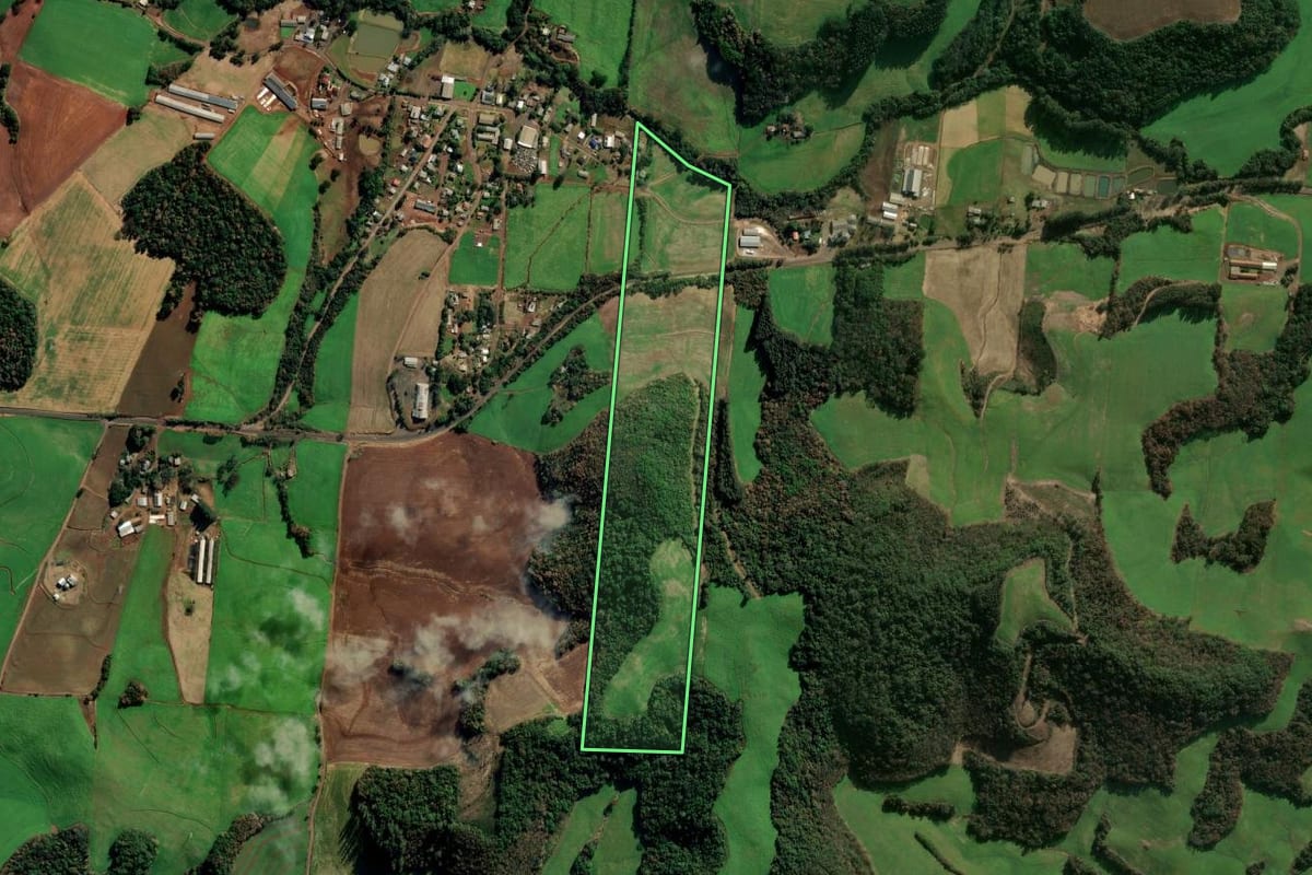 Imagem de satélite do imóvel rural em Getúlio Vargas (RS), com o contorno declarado no CAR desenhado por cima.