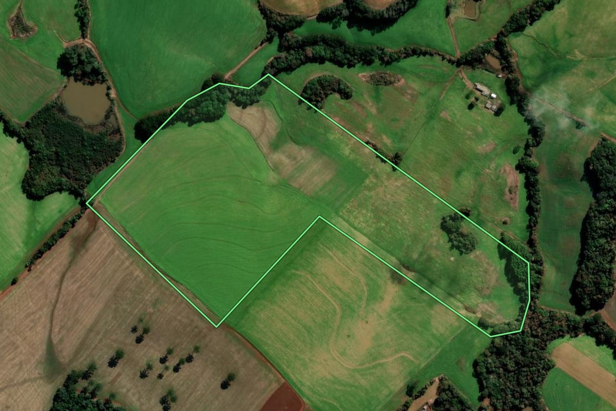 Imagem de satélite do imóvel rural em Getúlio Vargas (RS), com o contorno declarado no CAR desenhado por cima.
