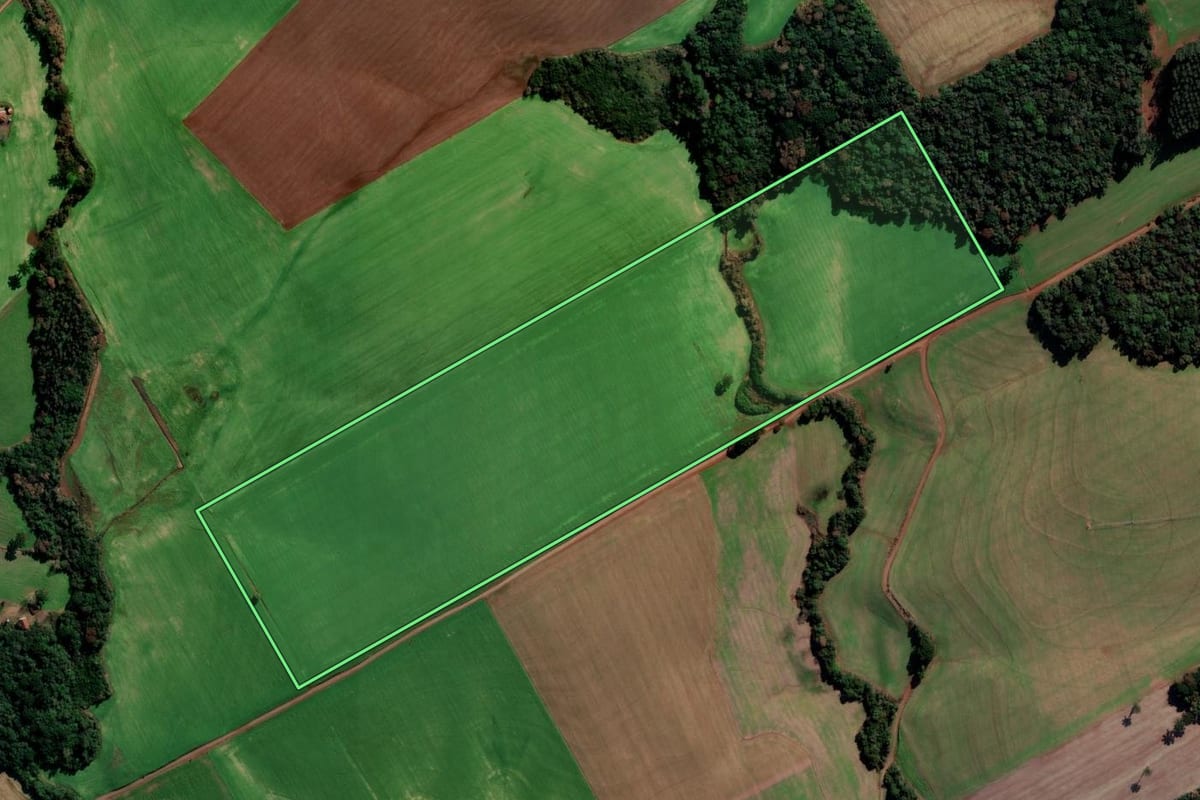 Imagem de satélite do imóvel rural em Getúlio Vargas (RS), com o contorno declarado no CAR desenhado por cima.