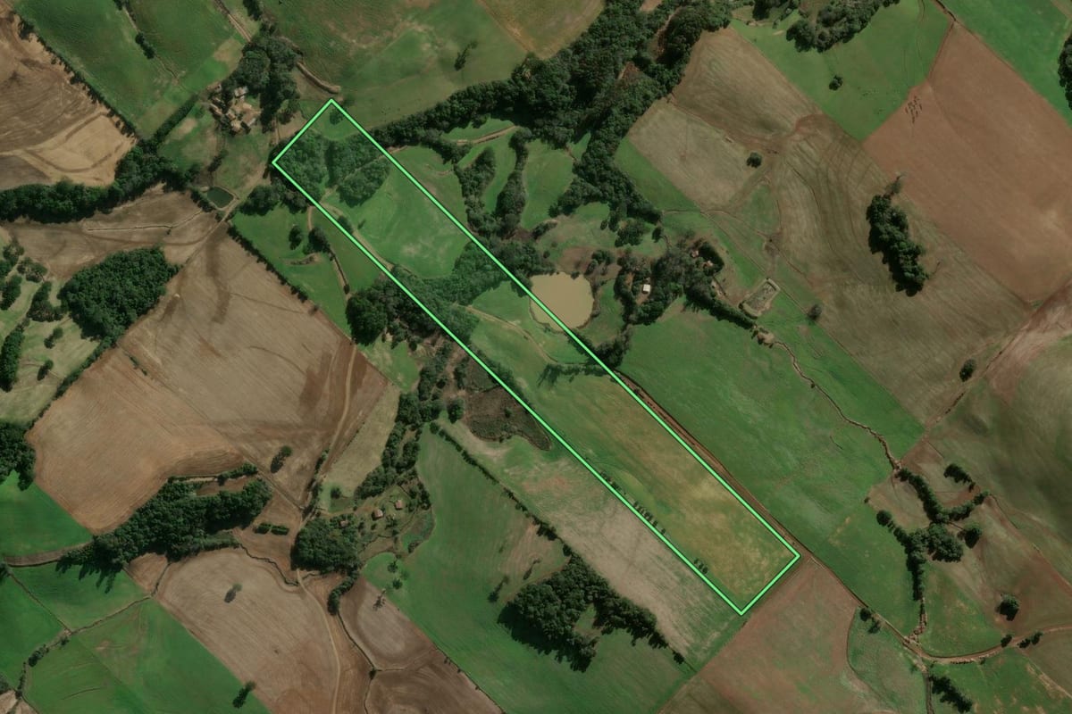 Imagem de satélite do imóvel rural em Getúlio Vargas (RS), com o contorno declarado no CAR desenhado por cima.