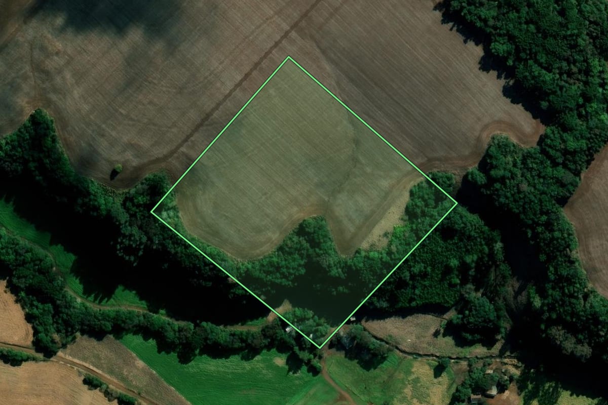Imagem de satélite do imóvel rural em Getúlio Vargas (RS), com o contorno declarado no CAR desenhado por cima.