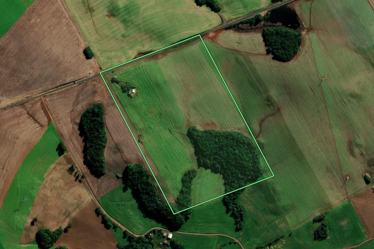 Imagem de satélite do imóvel rural em Getúlio Vargas (RS), com o contorno declarado no CAR desenhado por cima.