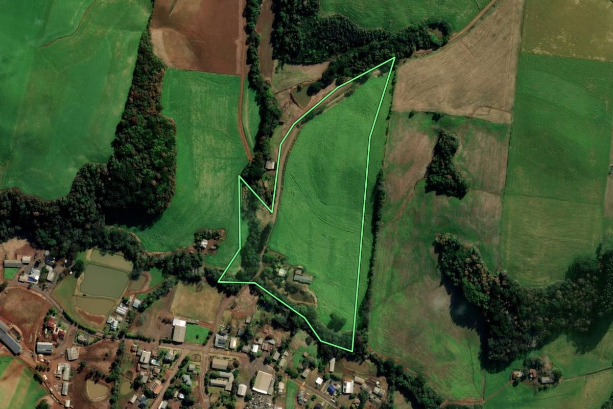 Imagem de satélite do imóvel rural em Getúlio Vargas (RS), com o contorno declarado no CAR desenhado por cima.