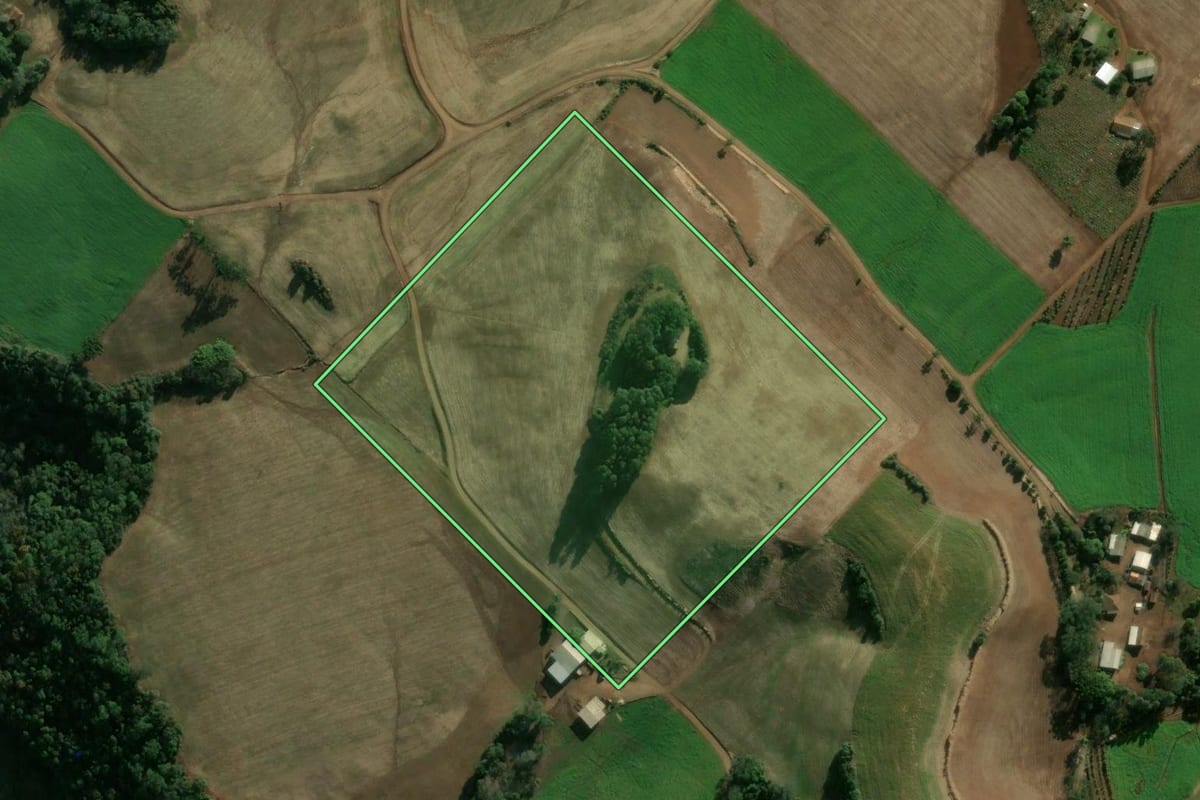 Imagem de satélite do imóvel rural em Getúlio Vargas (RS), com o contorno declarado no CAR desenhado por cima.
