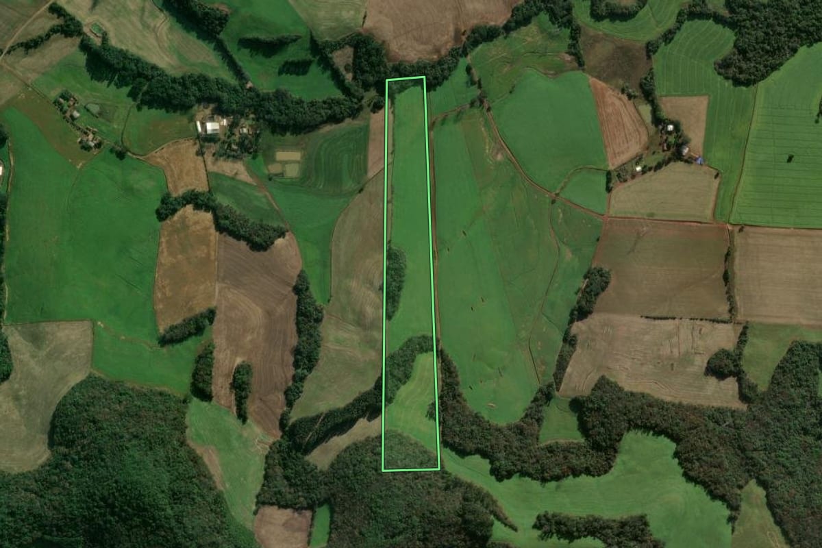 Imagem de satélite do imóvel rural em Getúlio Vargas (RS), com o contorno declarado no CAR desenhado por cima.