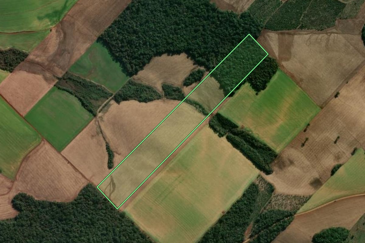Imagem de satélite do imóvel rural em Getúlio Vargas (RS), com o contorno declarado no CAR desenhado por cima.