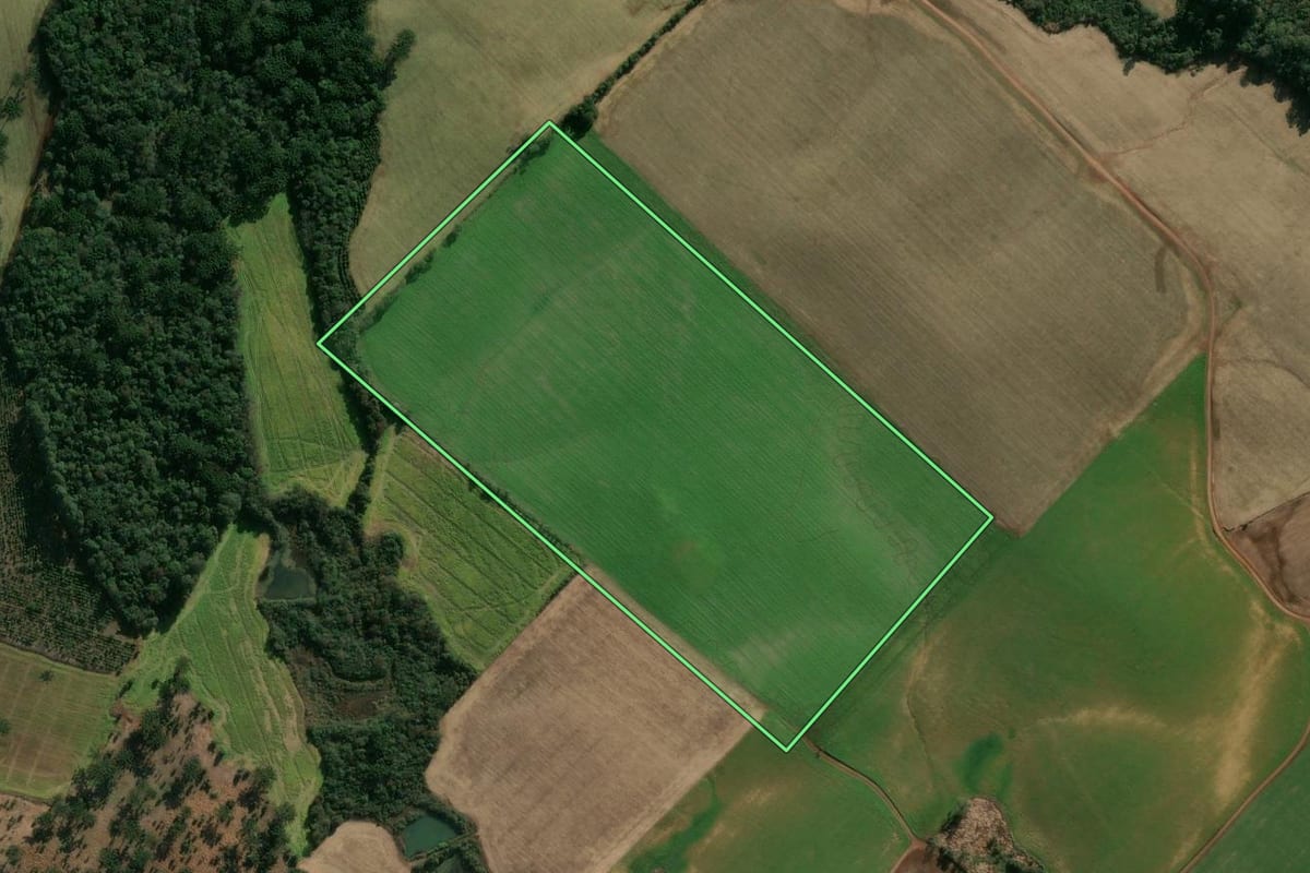 Imagem de satélite do imóvel rural em Getúlio Vargas (RS), com o contorno declarado no CAR desenhado por cima.