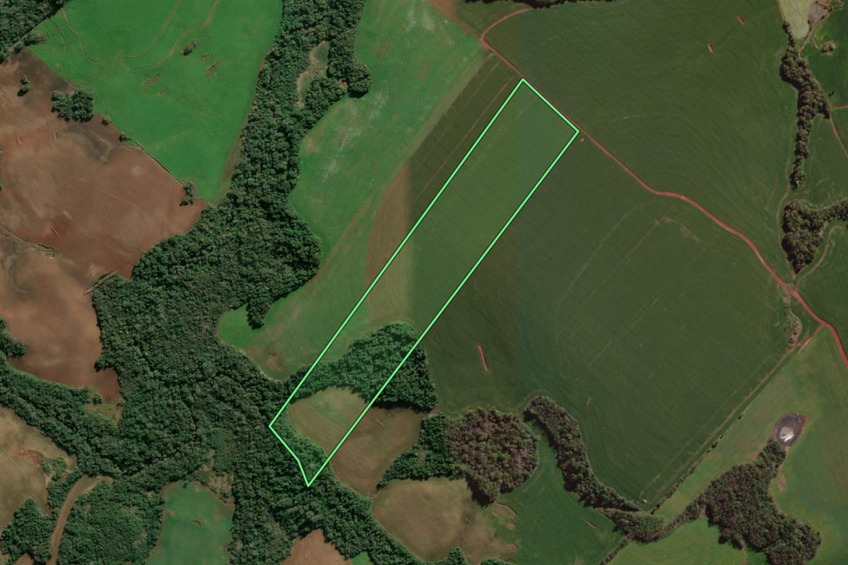 Imagem de satélite do imóvel rural em Giruá (RS), com o contorno declarado no CAR desenhado por cima.
