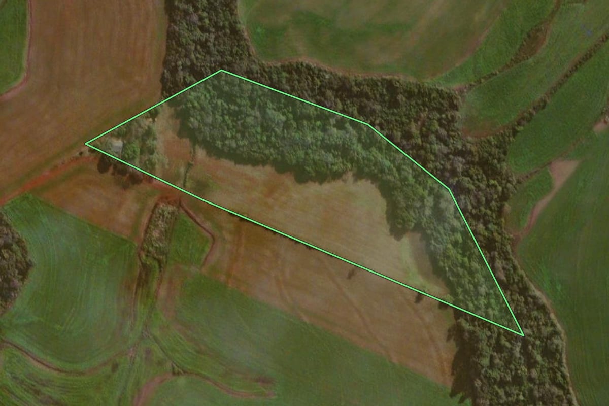 Imagem de satélite do imóvel rural em Giruá (RS), com o contorno declarado no CAR desenhado por cima.
