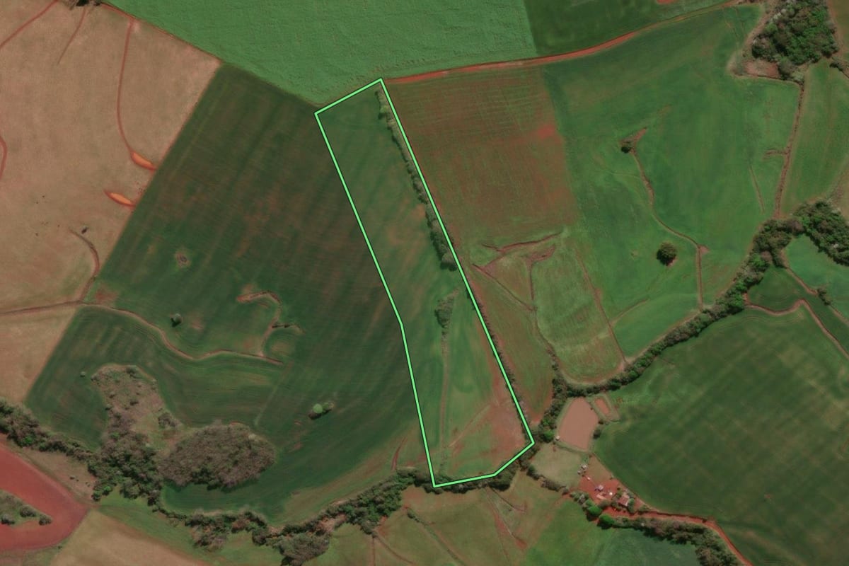 Imagem de satélite do imóvel rural em Giruá (RS), com o contorno declarado no CAR desenhado por cima.