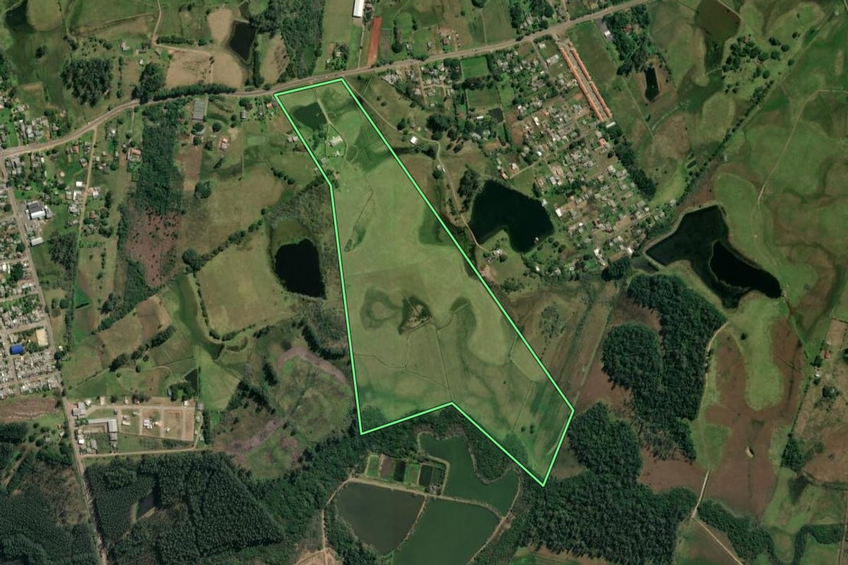 Imagem de satélite do imóvel rural em Glorinha (RS), com o contorno declarado no CAR desenhado por cima.