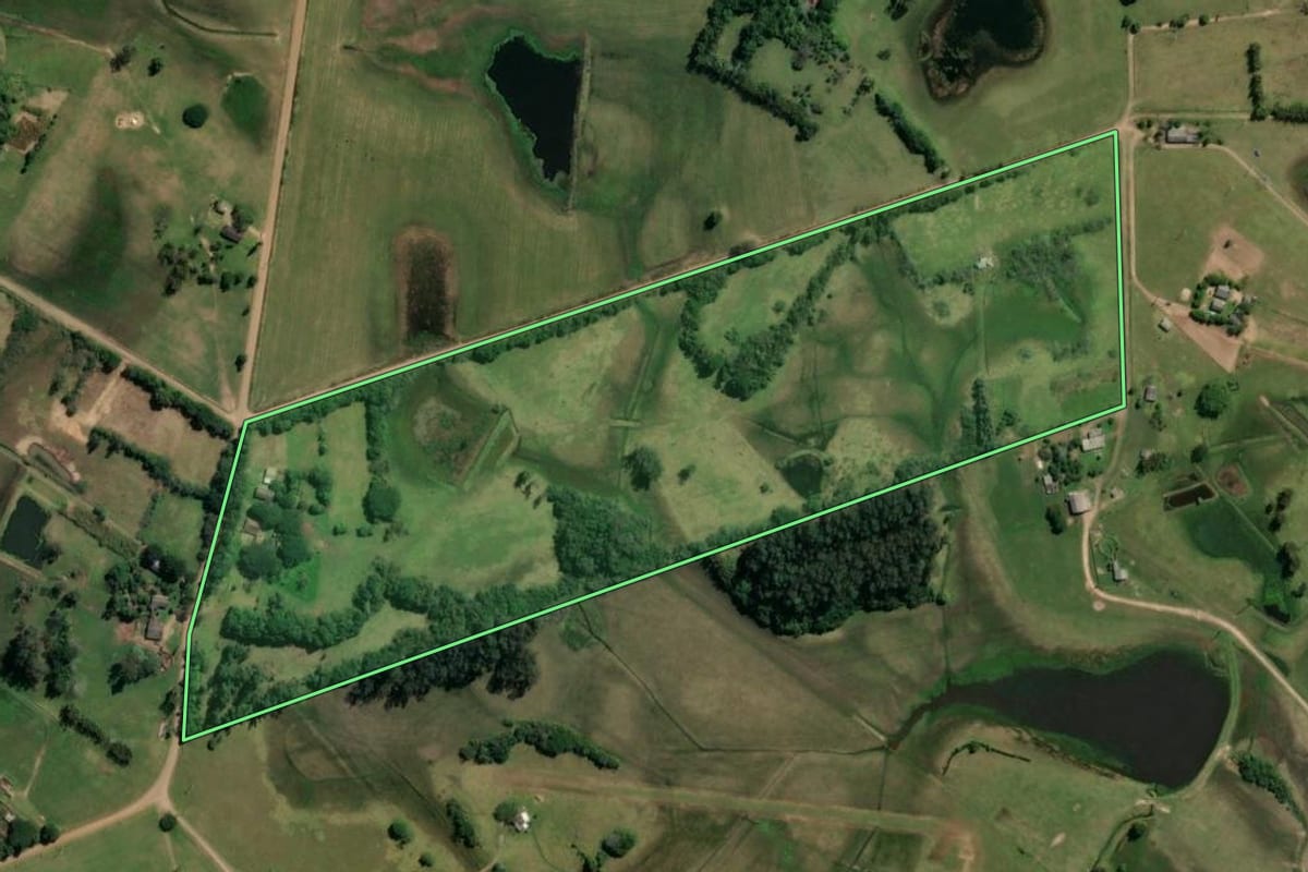 Imagem de satélite do imóvel rural em Glorinha (RS), com o contorno declarado no CAR desenhado por cima.