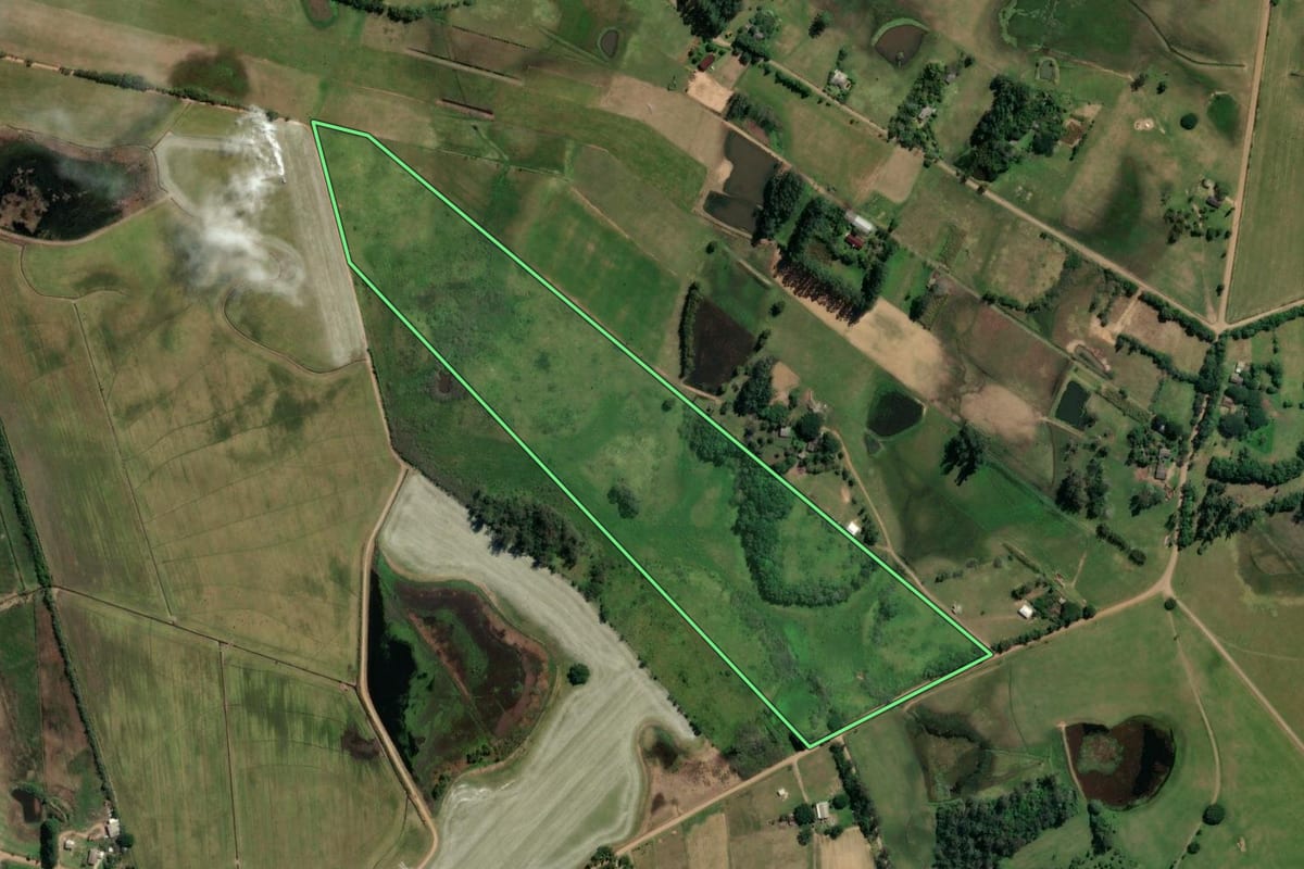 Imagem de satélite do imóvel rural em Glorinha (RS), com o contorno declarado no CAR desenhado por cima.
